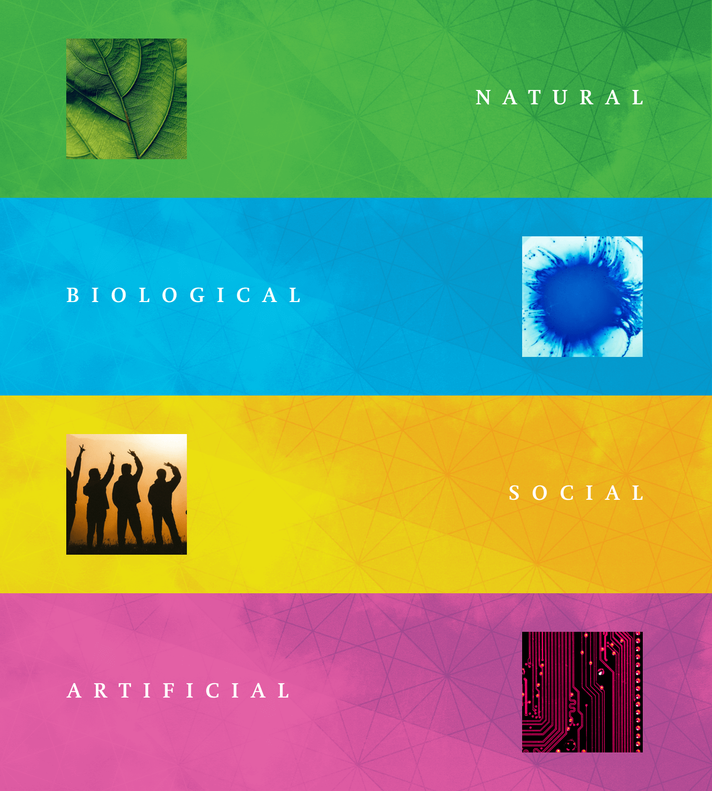 green for natural, blue for biological, yellow for social and pink for artificial colour blocks